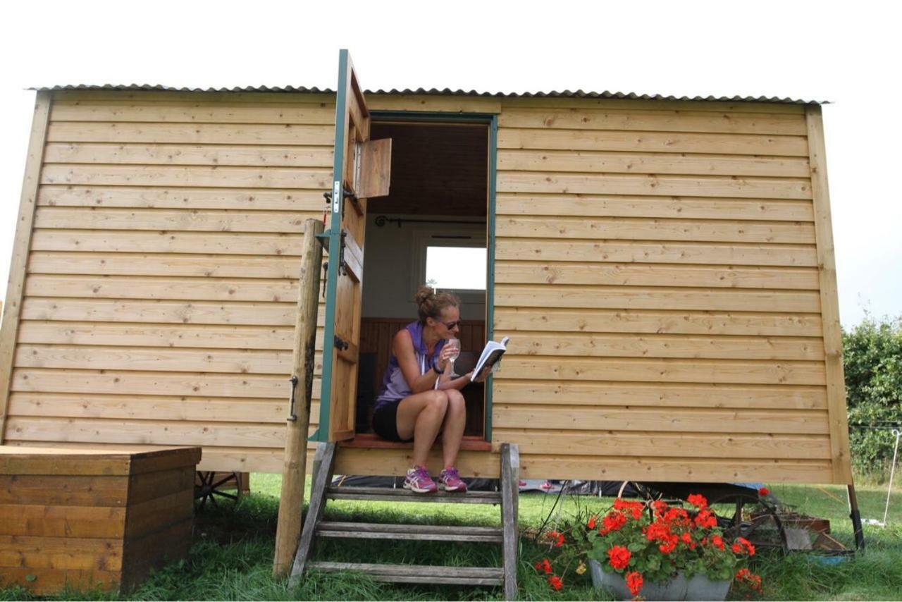 Shepherdshuts-Southeast Hotel Ashford  Luaran gambar