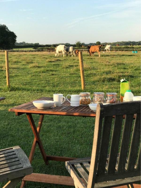 Shepherdshuts-Southeast Hotel Ashford  Luaran gambar