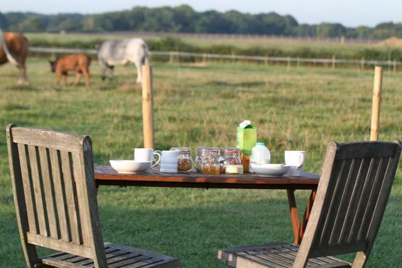 Shepherdshuts-Southeast Hotel Ashford  Luaran gambar