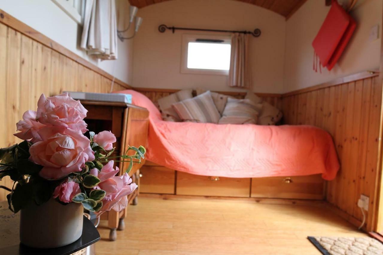 Shepherdshuts-Southeast Hotel Ashford  Luaran gambar